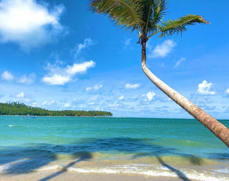 Flat Praia Dos Carneiros Eco Resort 26 Tamandaré Kültér fotó